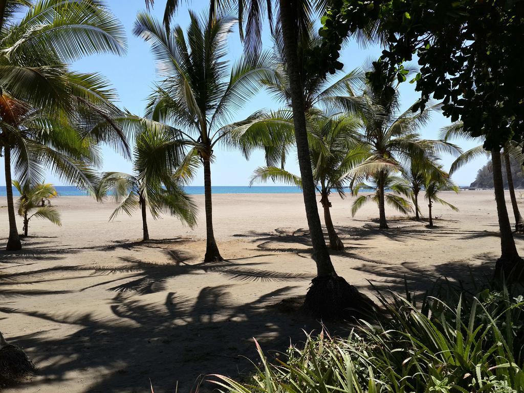 Hotel Pochote Grande Jaco Exterior photo
